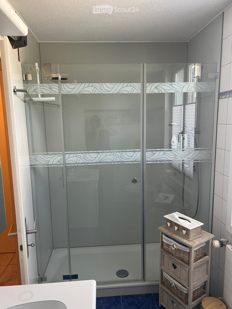 Modern bathroom with a glass-enclosed shower stall, a toilet, a sink, and a small wooden storage cabinet with woven baskets and a tissue box on top.