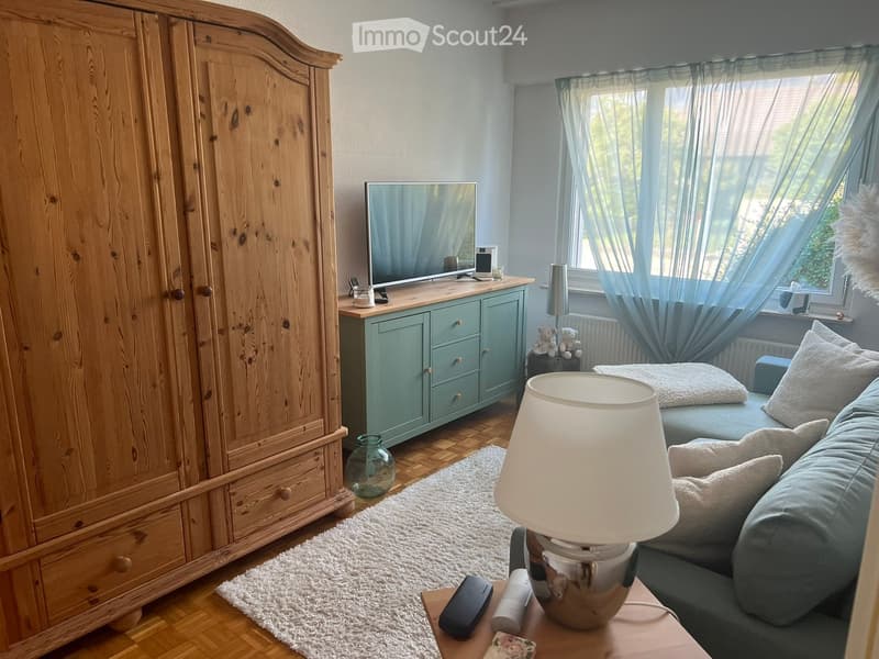 A cozy living room with a grey sofa, wooden floor, white rug, and a large wooden wardrobe. A television sits on a green cabinet, and a small table holds a lamp and decorative items.