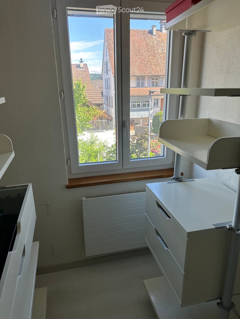 Empty room with large windows offering a view of neighboring houses and greenery, featuring a radiator and a white cabinet with shelves.