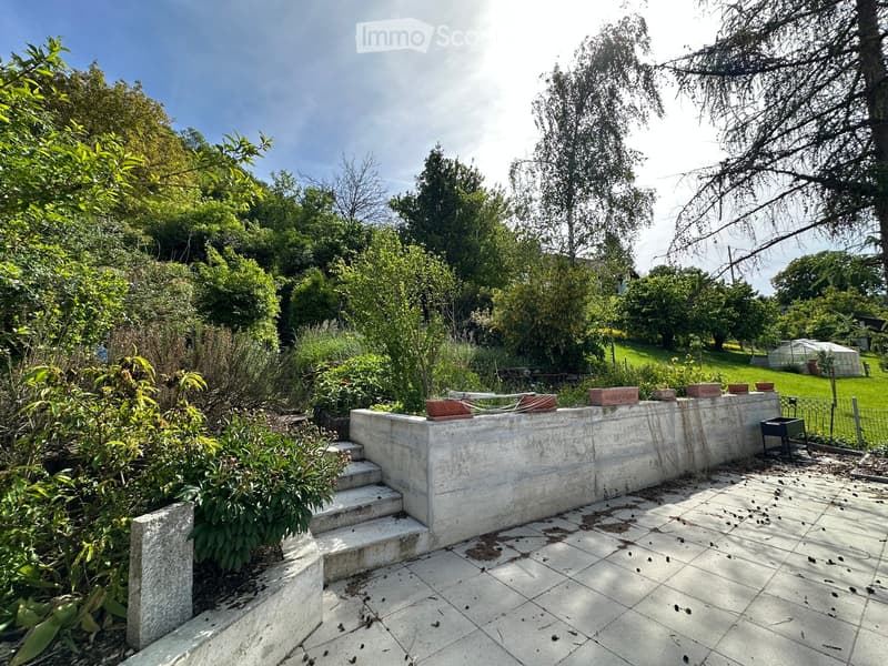 Garden area with concrete steps, tiled patio, potted plants, and surrounding greenery.