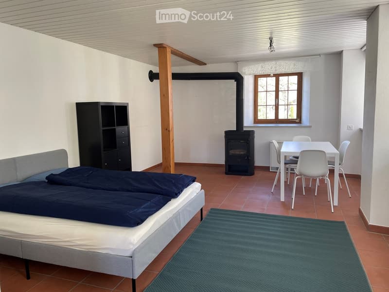 Möbilierte Wohnung in historischem Weiler (3)