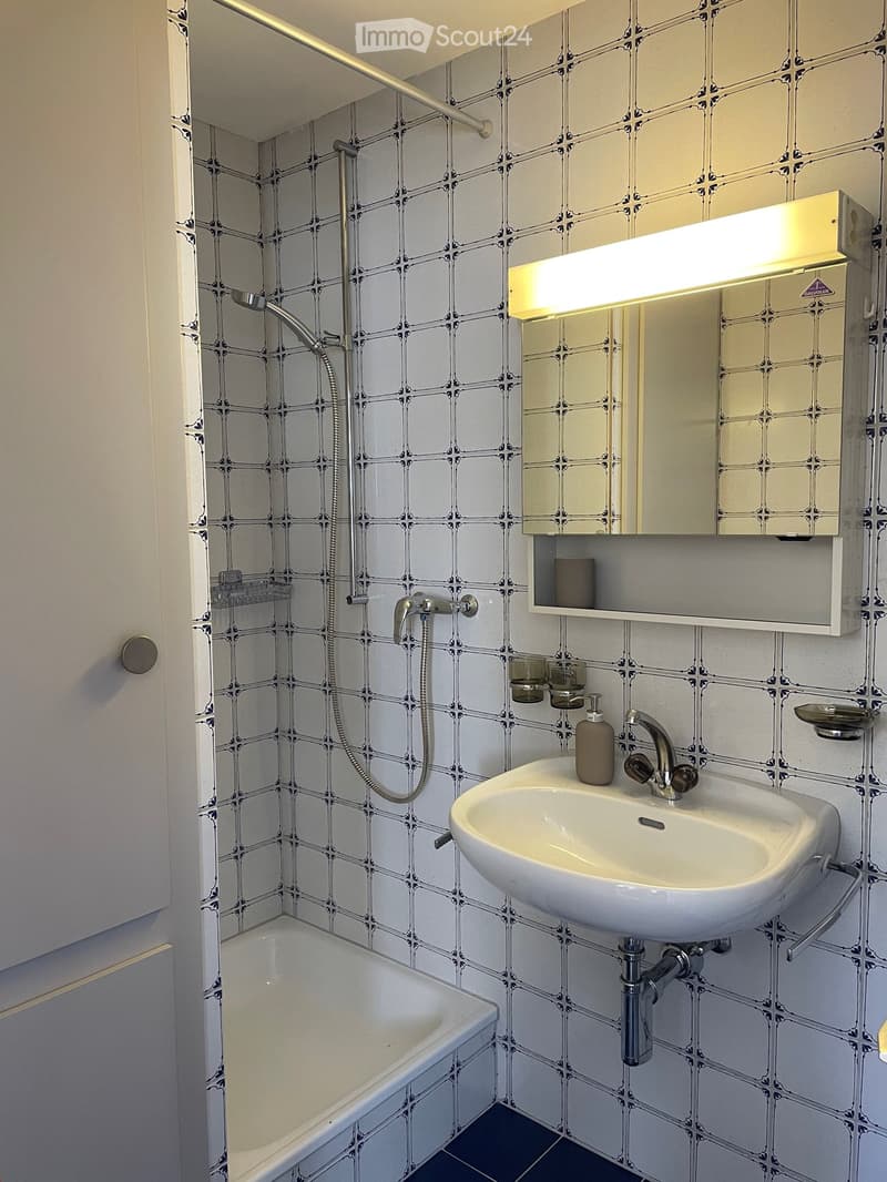 Möbilierte Wohnung in historischem Weiler (5)