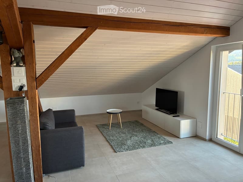 Modern living room with a grey sofa, small round stool, flat-screen TV on a white stand, and a grey cat tree. The room features exposed wooden beams and a skylight, with a view of the outdoors through a large window.