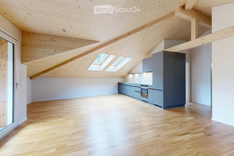 Modern kitchen with light grey cabinets, wooden flooring, and skylight windows above the counter.
