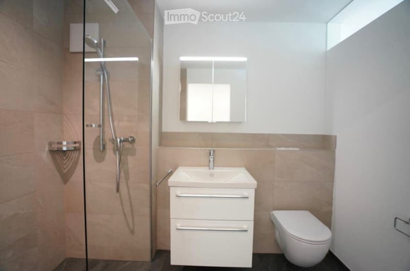 Modern bathroom with a glass-enclosed shower, a white sink with a cabinet, a toilet, and a mirror above the sink.
