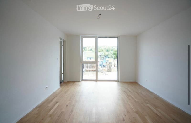 Empty room with light wooden flooring, white walls, and large sliding glass doors leading to an outdoor area.