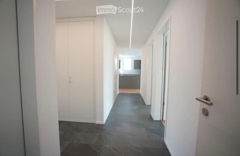 Clean, modern hallway with white walls, dark tiled floor, and built-in white storage unit on one side. The hallway leads to a room with a visible kitchen area in the background.
