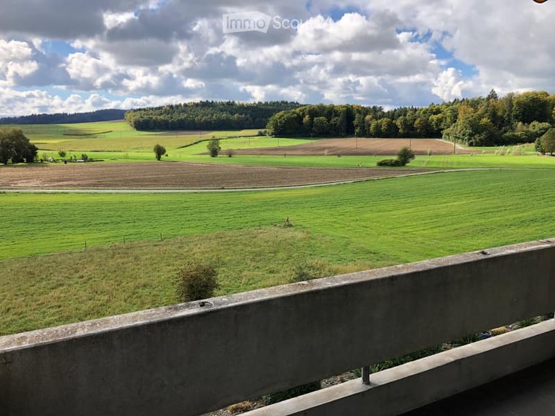 View from a balcony overlooking a lush green countryside with fields, trees, and a partly cloudy sky.
