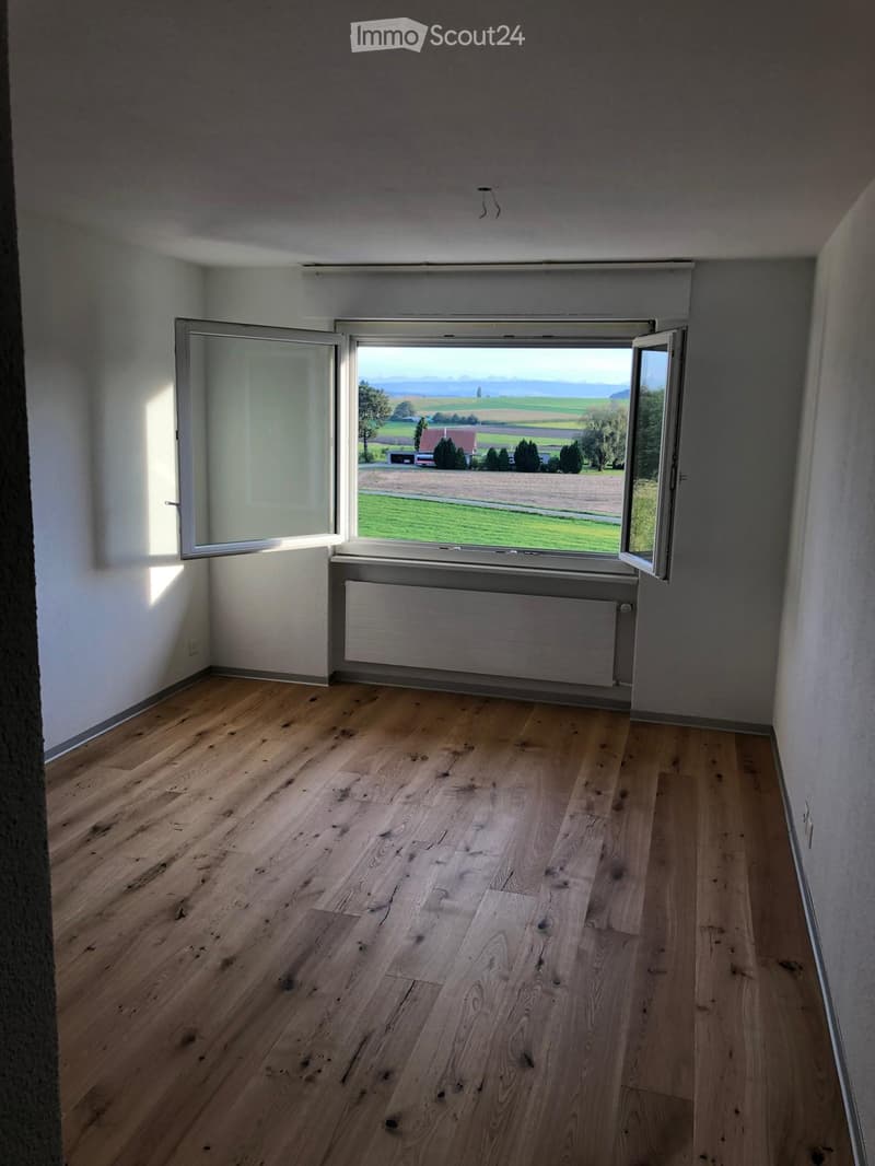 Empty room with wooden flooring, white walls, large windows with open shutters, radiator, and a view of a green field and distant mountains.