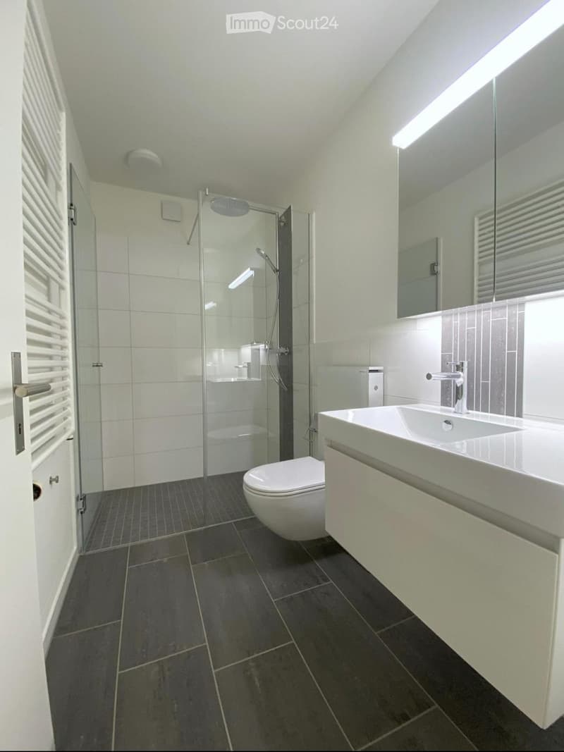 Modern bathroom with dark tiled floor, white walls, a toilet, a sink with a mirror, and a glass-enclosed shower area.