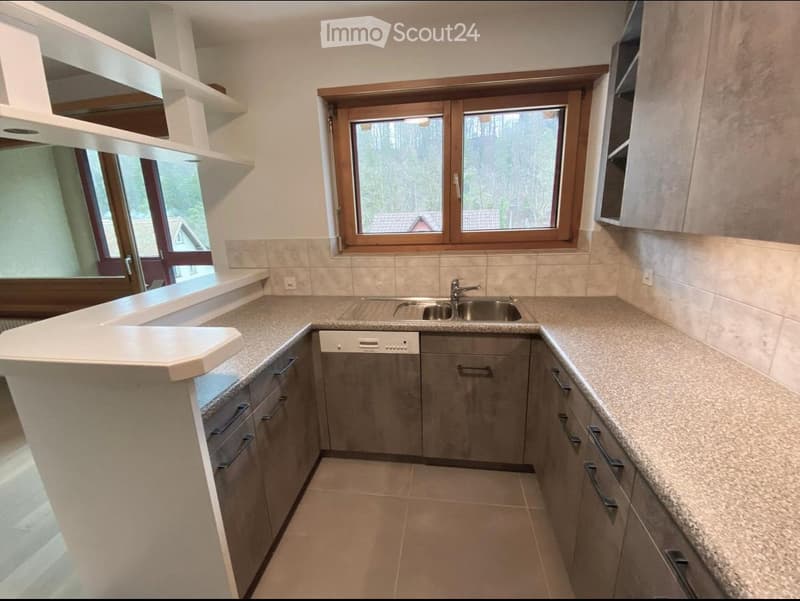 Modern kitchen with grey cabinets, granite countertops, a sink, and a dishwasher. Large windows provide natural light.