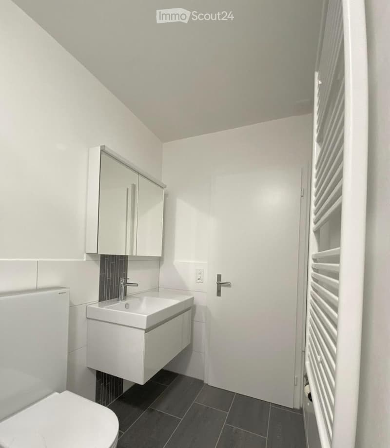 Modern bathroom with white walls, dark tiled floor, white sink with chrome faucet, mirrored cabinet, toilet, and radiator.