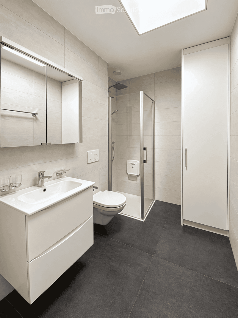 Modern bathroom with a white sink, mirror, toilet, and glass-enclosed shower. Features dark tiled flooring and sleek cabinetry.