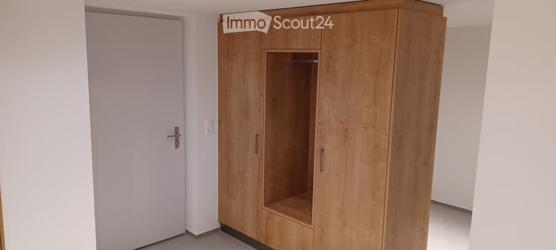 Closet, white door, wooden floor