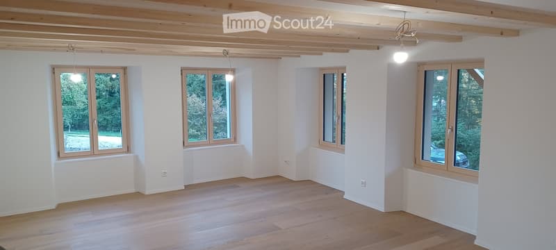 white walls, wooden floors, wooden ceiling, three large windows, open space