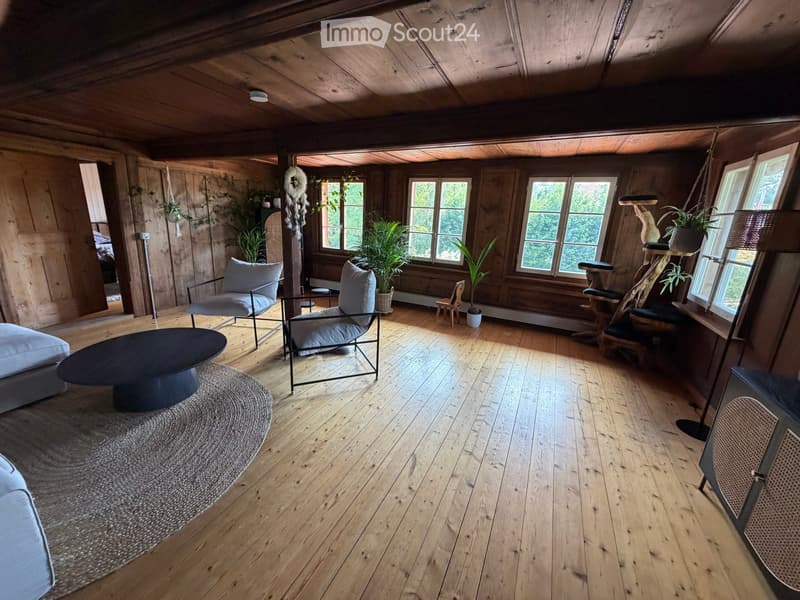 Cozy living space with wooden floors, large windows, a sofa, coffee table, chairs, a cat tree, and potted plants.