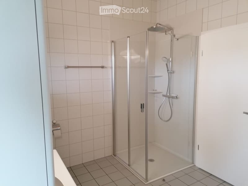 Modern bathroom with a glass-enclosed shower stall, handheld showerhead, and toilet paper holder.