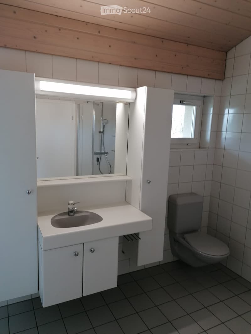 Modern bathroom with white tiled walls, a sink with a mirror, a toilet, and a shower area. The room features built-in cabinets and a window providing natural light.