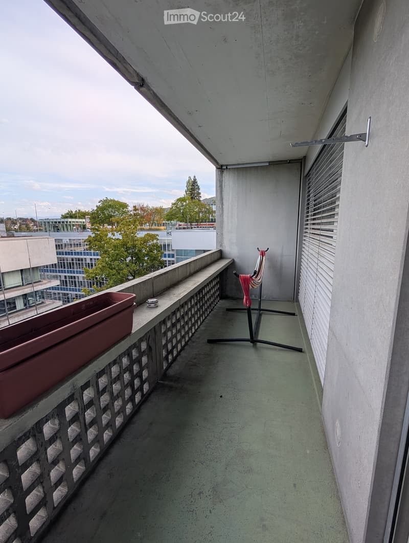 Balcony with concrete floor, low railing, potted plant, and clothes drying rack.