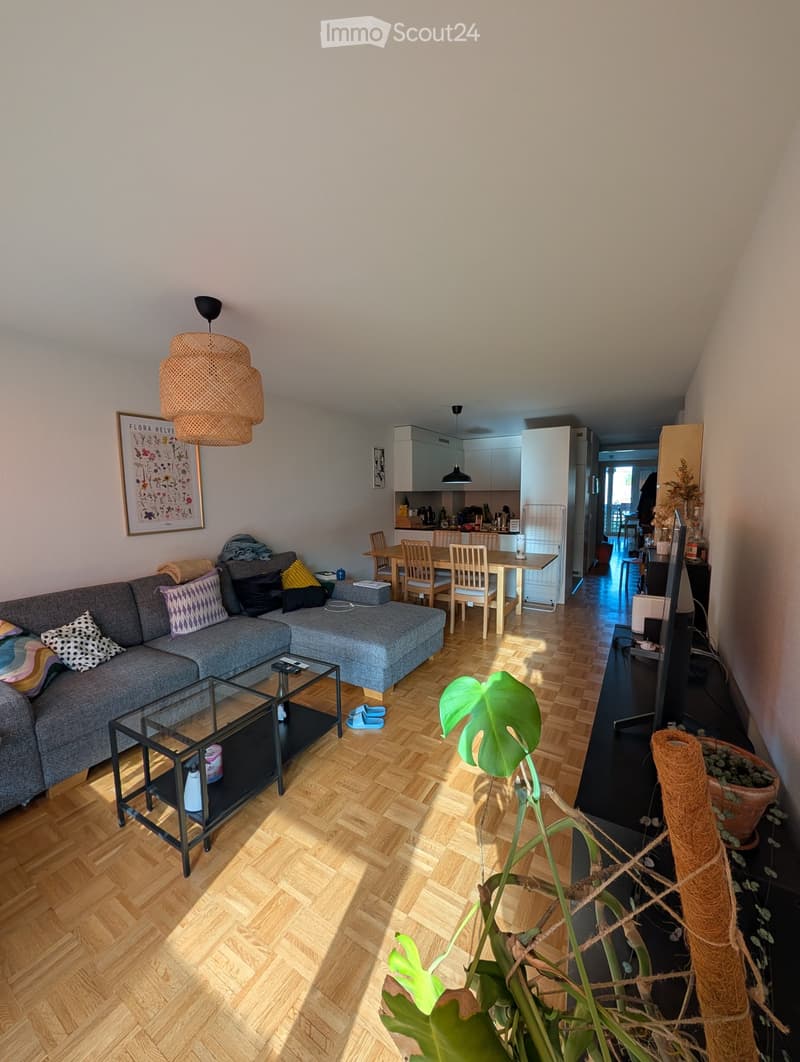 A modern living room with a grey sofa, coffee table, dining area, and kitchen in the background. Features wooden flooring, pendant lighting, and decorative plants.