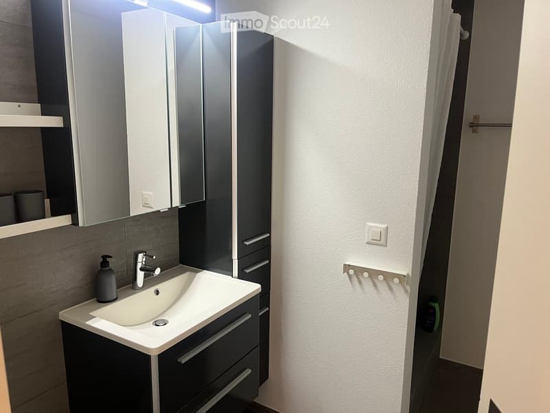 Modern bathroom with a white sink, dark grey cabinet, large mirror, and sleek faucet.