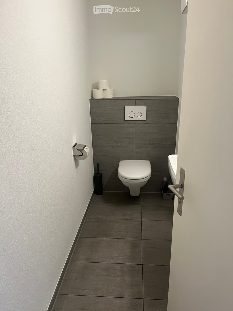 Modern bathroom with a toilet, sink, toilet paper holder, toilet brush, and a shelf holding toilet paper rolls.