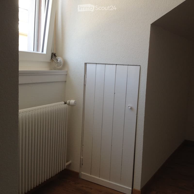 A narrow hallway with light-colored walls, a wooden floor, a radiator, a window with blinds, and a white closet with a mirrored door.