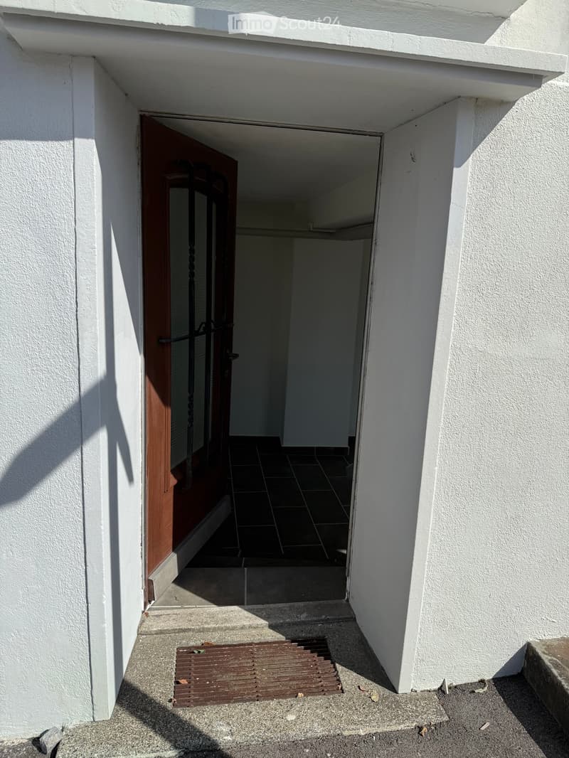 Entrance to a house with a raised ground floor, featuring a wooden door with a metal gate, tiled floor, and a small metal grate on the concrete pathway.