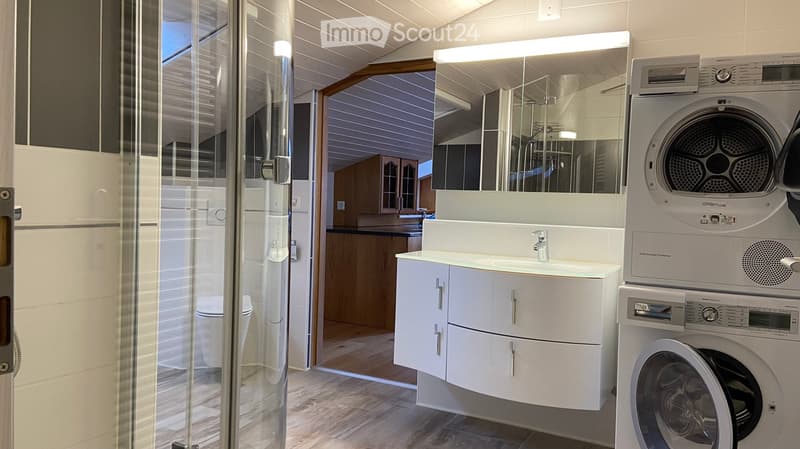 modern bathroom with shower, toilet, sink, washing machine, dishwasher, wooden floor