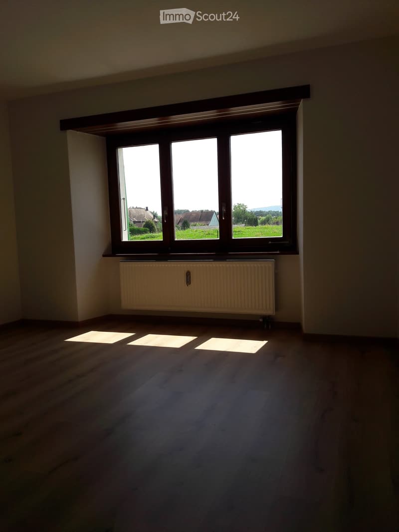 empty room, white walls, wooden floor, large window with view