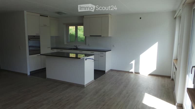 Empty kitchen with white cabinets, black countertops, and wooden flooring. No appliances or furniture are present.