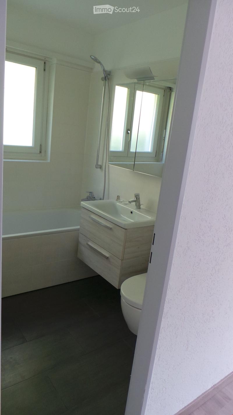 Modern bathroom with a white sink, faucet, toilet, bathtub, and shower. Features a large mirror above the sink and two windows providing natural light.