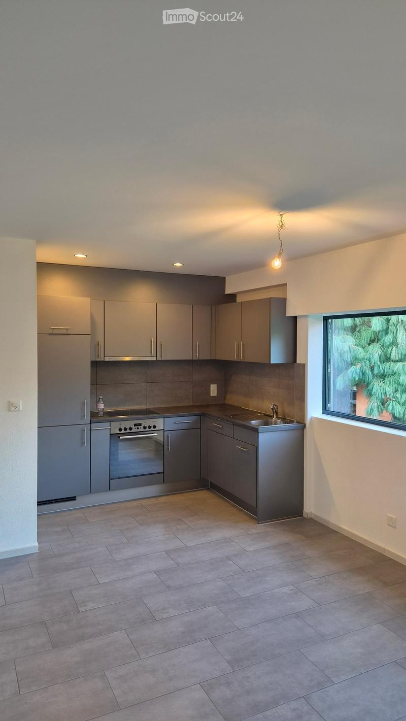 Modern kitchen with grey cabinets, stainless steel appliances, tiled floor, and a window overlooking greenery.