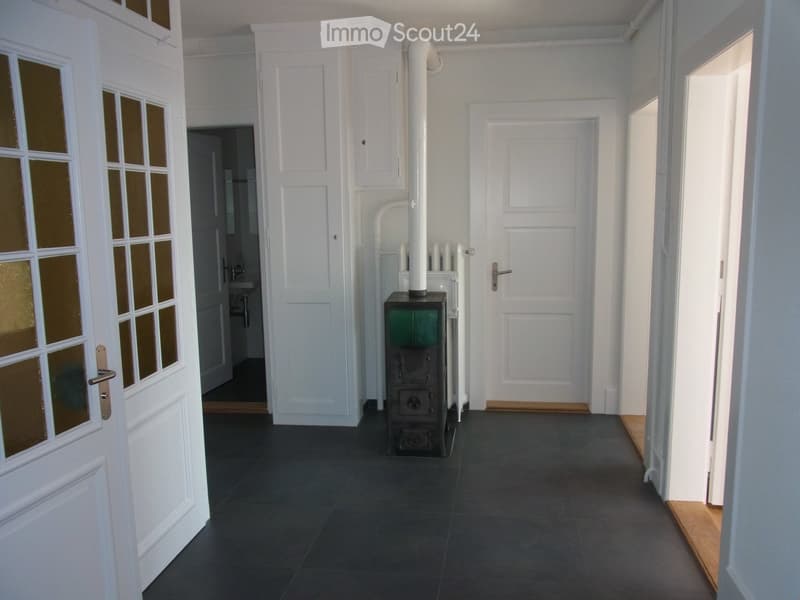 Empty hallway with dark tiled floor, white walls, multiple doors, and a visible wood-burning stove in the center.