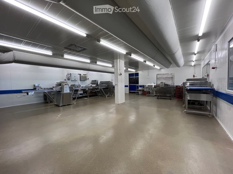 Empty large space with fluorescent ceiling lights, industrial machines, stainless steel carts, windows, blue trims