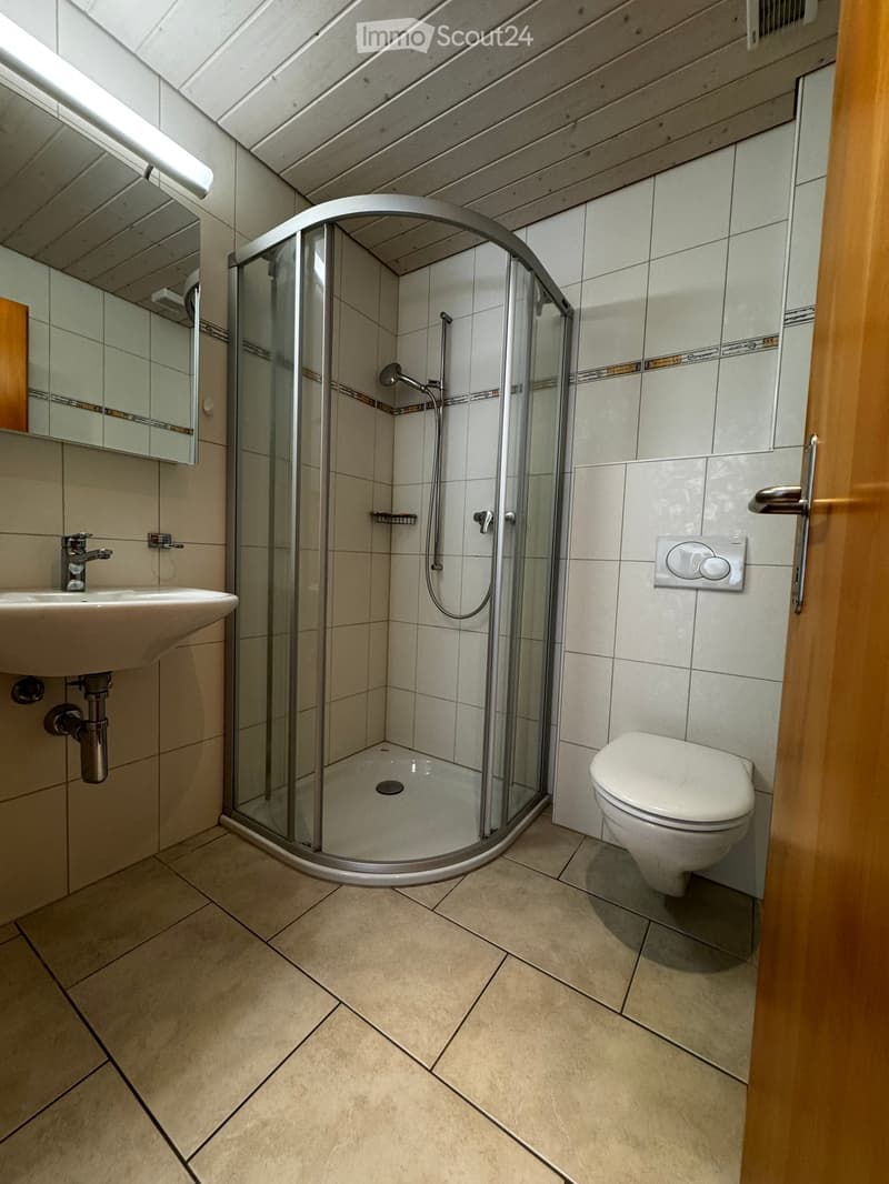 Modern bathroom with a corner shower, sink, toilet, and mirror. Light-colored tiles and wooden door frame.