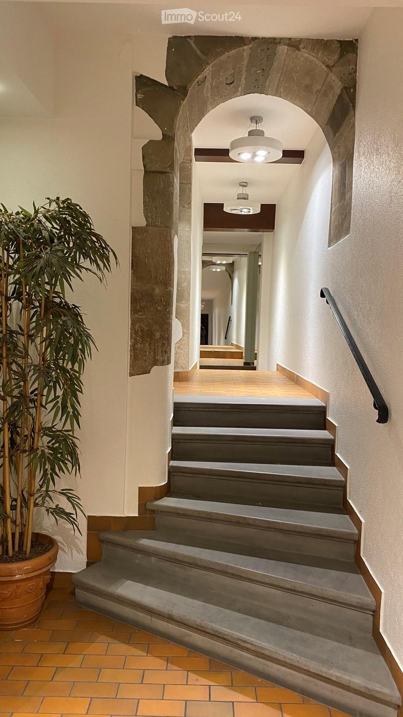 Staircase with grey steps and wooden handrail, leading to an arched opening with visible ceiling lights and a potted plant on the left side.
