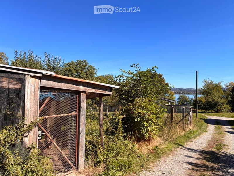 A wooden chicken coop with a fenced enclosure, surrounded by trees and a gravel path, with a view of a lake in the background.