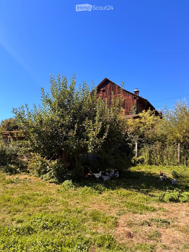A rural garden area with a wooden barn, lush greenery, and several chickens roaming around.