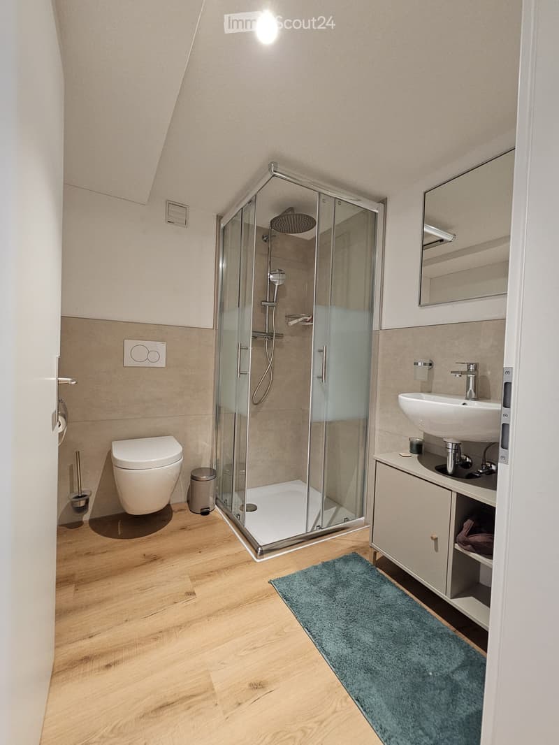 Modern bathroom with wooden flooring, a glass-enclosed shower, a toilet, a sink with a cabinet, and a mirror above the sink.