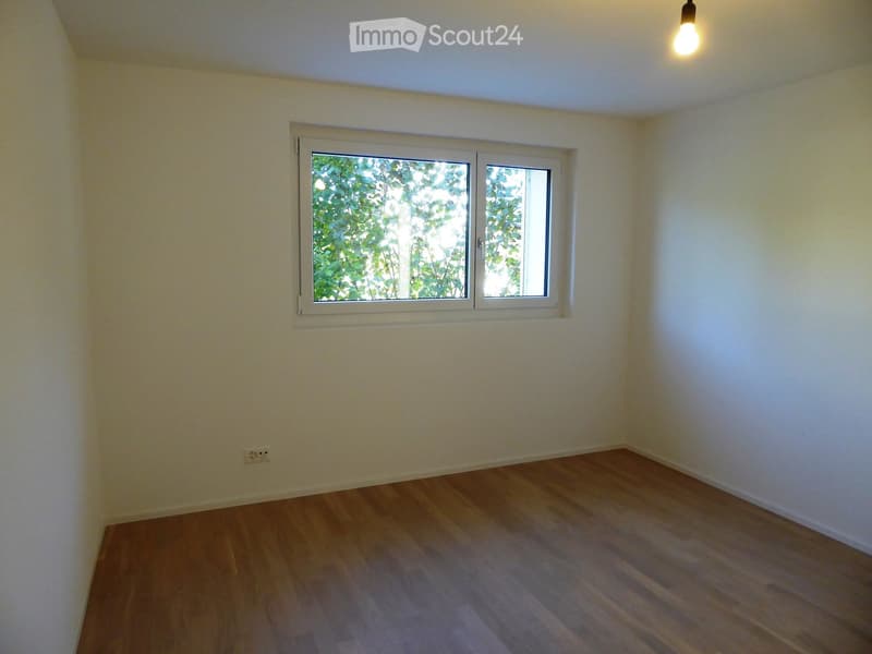 Empty room with wooden flooring, white walls, and a large window with white frame showing greenery outside.