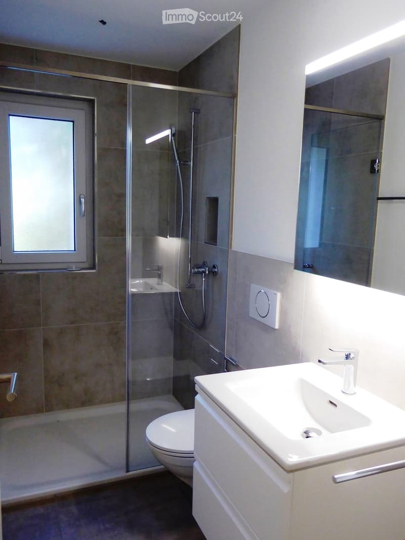 Modern bathroom with a white sink, mirror, toilet, and glass-enclosed shower area with a handheld showerhead.