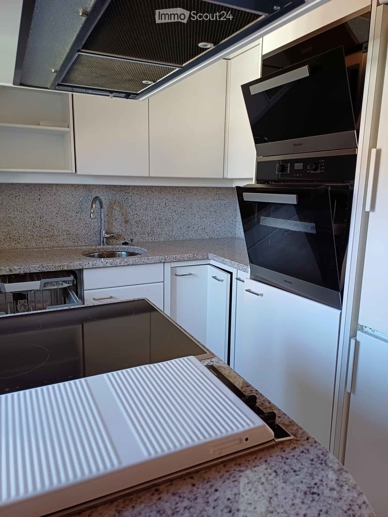 Modern kitchen with white cabinets, granite countertop, stainless steel appliances including an oven, dishwasher, and induction cooktop, and a sink with a modern faucet.