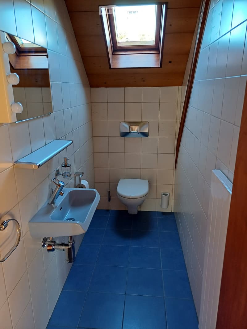 Modern bathroom with blue tiles, white sink, chrome faucet, toilet, and built-in mirror cabinet.