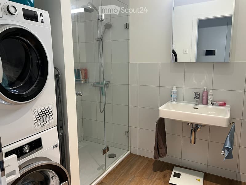 Modern bathroom with a glass-enclosed shower, a white sink with toiletries, a mirror, and a stacked washer/dryer unit.