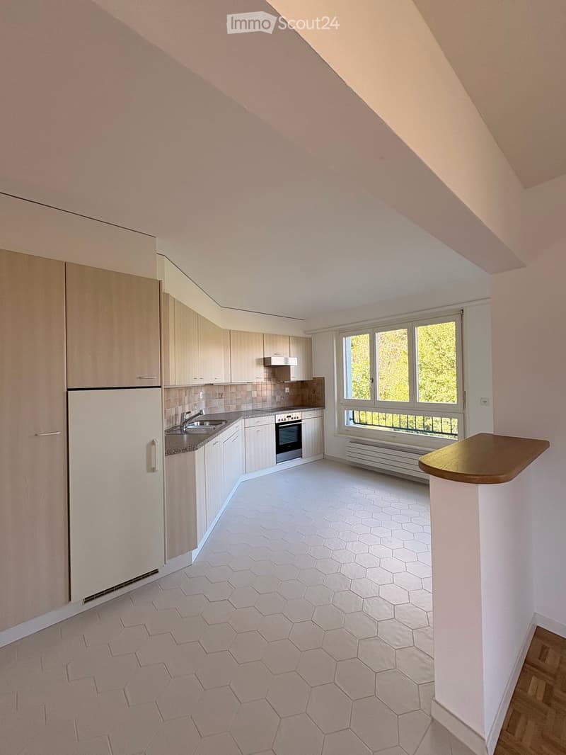 Modern kitchen with white cabinets, stainless steel appliances, hexagonal tile floor, and large windows overlooking greenery.