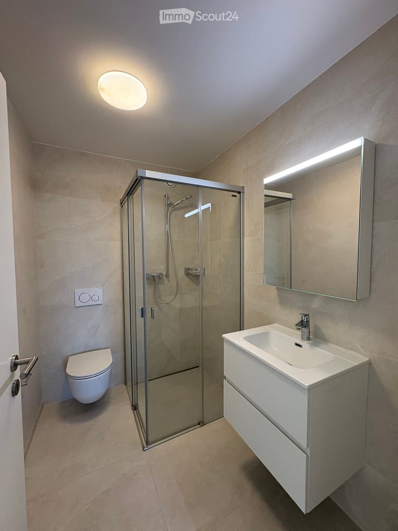 Modern bathroom with a glass-enclosed shower, a white toilet, a sink with a modern faucet, and a large mirror with built-in lighting.
