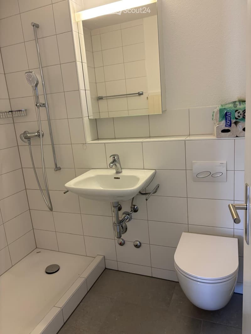 Modern bathroom with white tiles, a toilet, a sink with a chrome faucet, a shower area, and a mirror above the sink. Toilet paper is placed on a shelf.