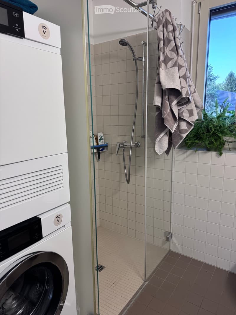 Modern bathroom with a glass-enclosed shower, a washing machine, a towel hanging on a rack, and a small plant on the windowsill.