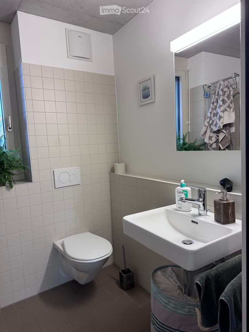 Modern bathroom with white tiles, a white sink with a chrome faucet, a toilet, a large mirror with a towel, a soap dispenser, and a small plant on the windowsill.